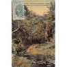 Rare collectable postcards of Senegal. Vintage Postcards of Senegal