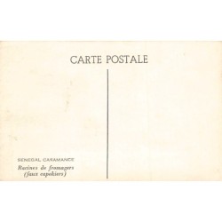 Rare collectable postcards of Senegal. Vintage Postcards of Senegal