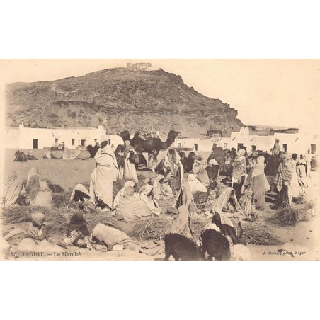 Rare collectable postcards of Algeria. Vintage Postcards of Algeria