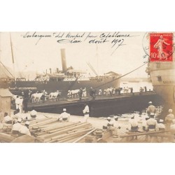 Rare collectable postcards of Algeria. Vintage Postcards of Algeria