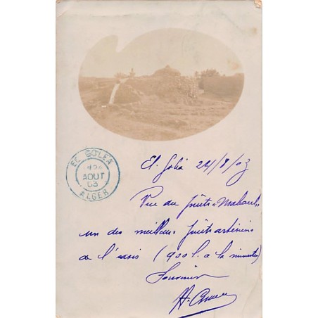 Rare collectable postcards of Algeria. Vintage Postcards of Algeria