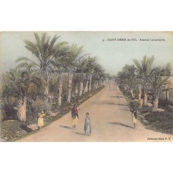 Rare collectable postcards of Algeria. Vintage Postcards of Algeria