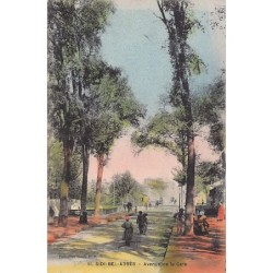 Rare collectable postcards of Algeria. Vintage Postcards of Algeria