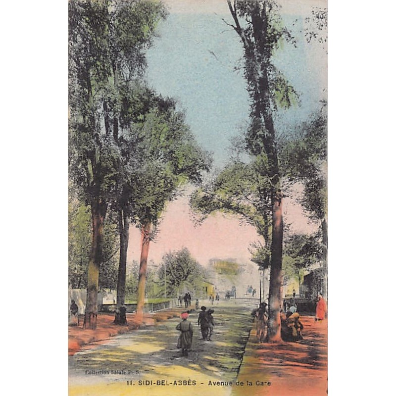Rare collectable postcards of Algeria. Vintage Postcards of Algeria