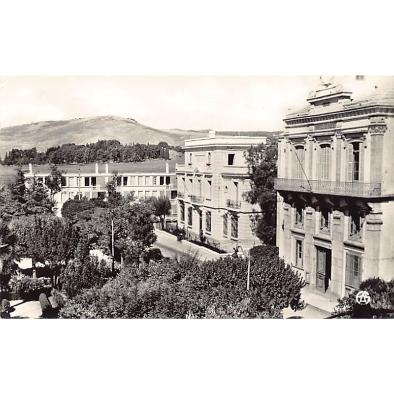 Rare collectable postcards of Algeria. Vintage Postcards of Algeria