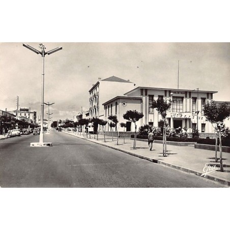 Rare collectable postcards of Algeria. Vintage Postcards of Algeria