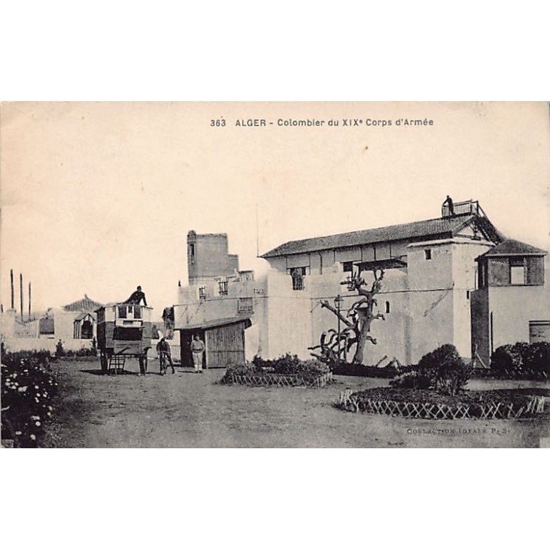 Rare collectable postcards of Algeria. Vintage Postcards of Algeria