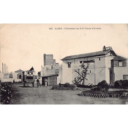 Rare collectable postcards of Algeria. Vintage Postcards of Algeria
