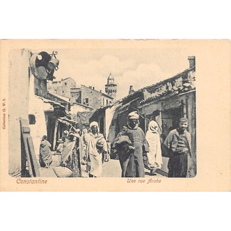 Rare collectable postcards of Algeria. Vintage Postcards of Algeria