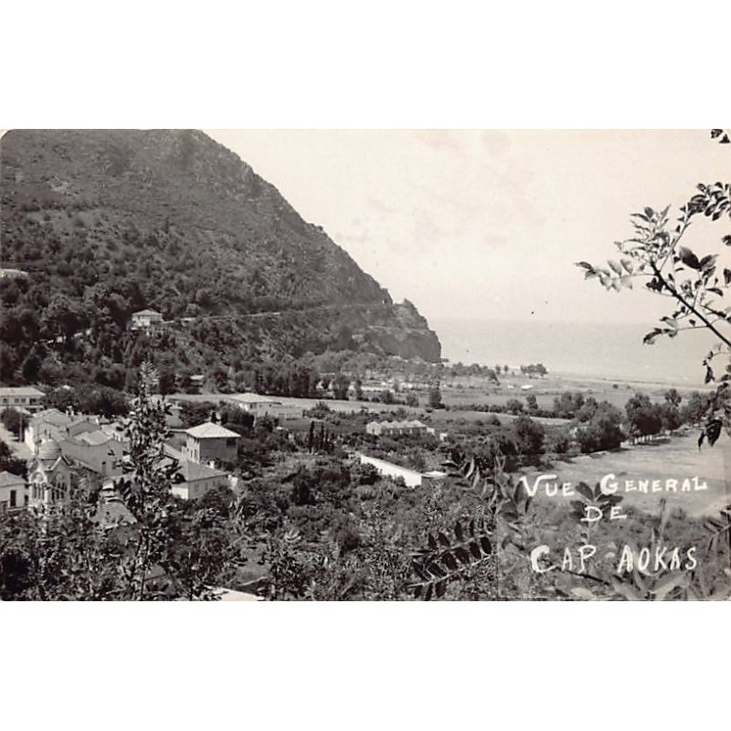 Rare collectable postcards of Algeria. Vintage Postcards of Algeria