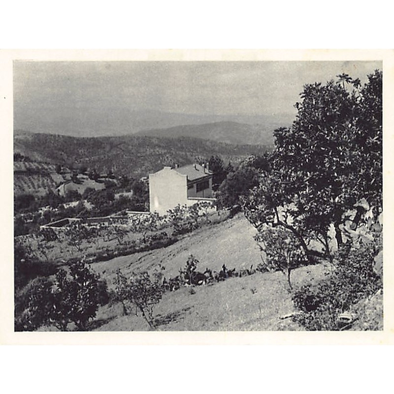Rare collectable postcards of Algeria. Vintage Postcards of Algeria