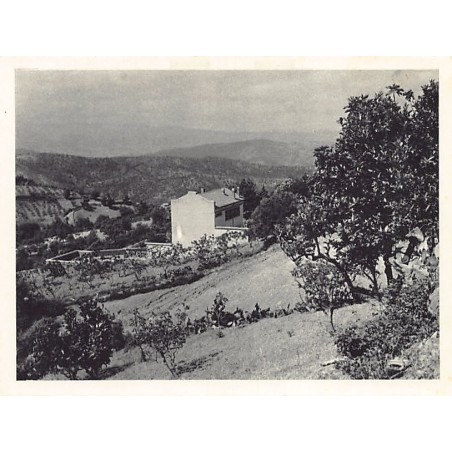 Rare collectable postcards of Algeria. Vintage Postcards of Algeria