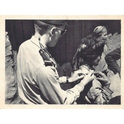 Rare collectable postcards of Algeria. Vintage Postcards of Algeria