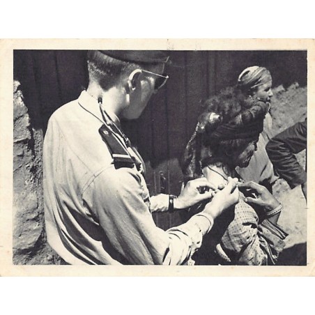Rare collectable postcards of Algeria. Vintage Postcards of Algeria