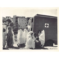 Rare collectable postcards of Algeria. Vintage Postcards of Algeria