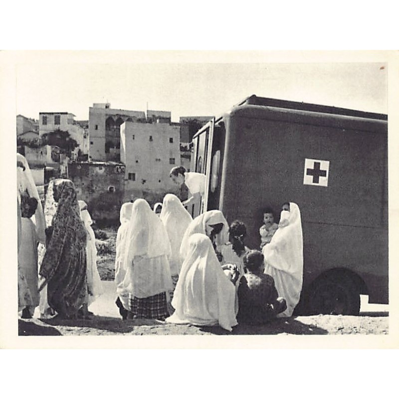Rare collectable postcards of Algeria. Vintage Postcards of Algeria