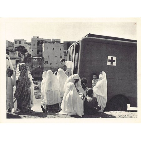 Rare collectable postcards of Algeria. Vintage Postcards of Algeria
