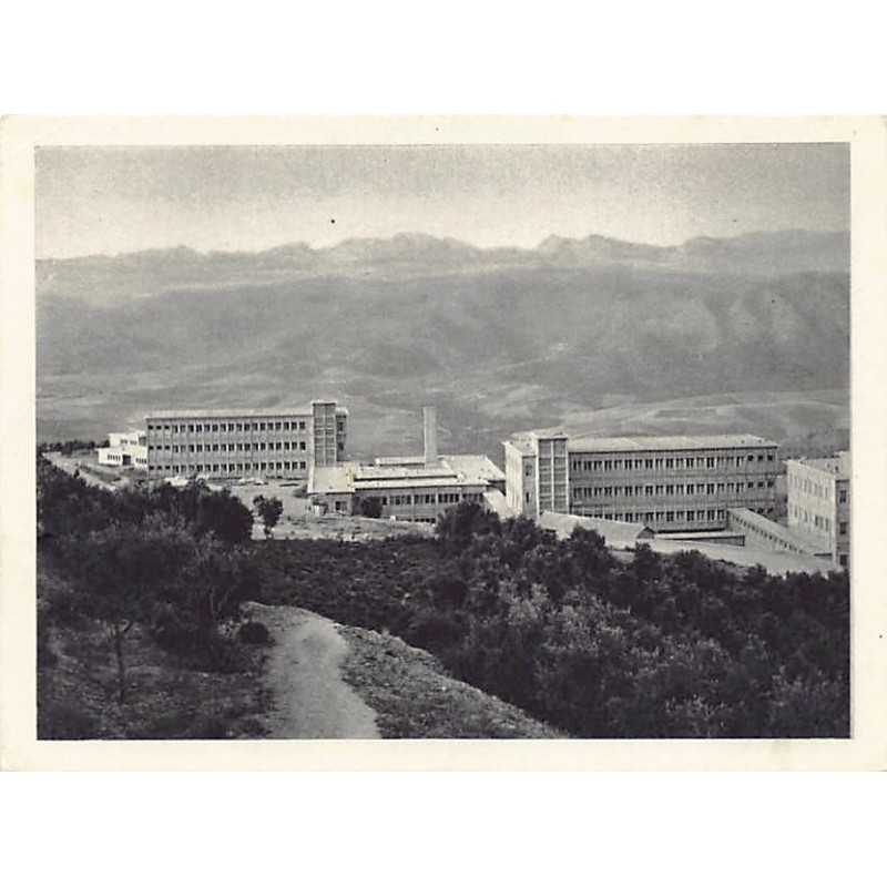 Rare collectable postcards of Algeria. Vintage Postcards of Algeria