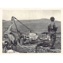 Rare collectable postcards of Algeria. Vintage Postcards of Algeria