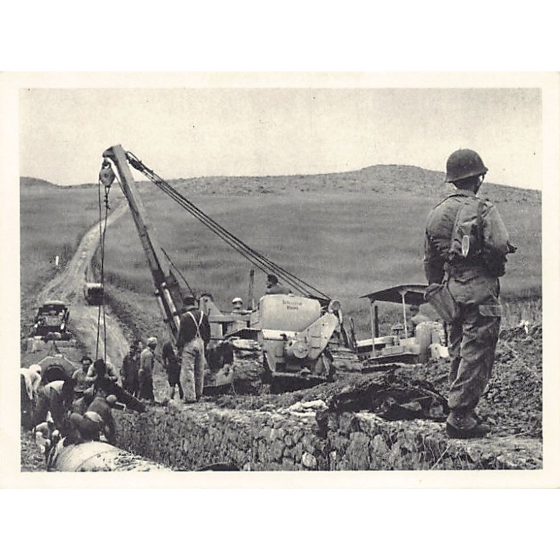Rare collectable postcards of Algeria. Vintage Postcards of Algeria