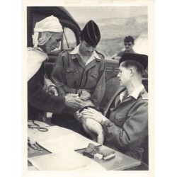 Rare collectable postcards of Algeria. Vintage Postcards of Algeria