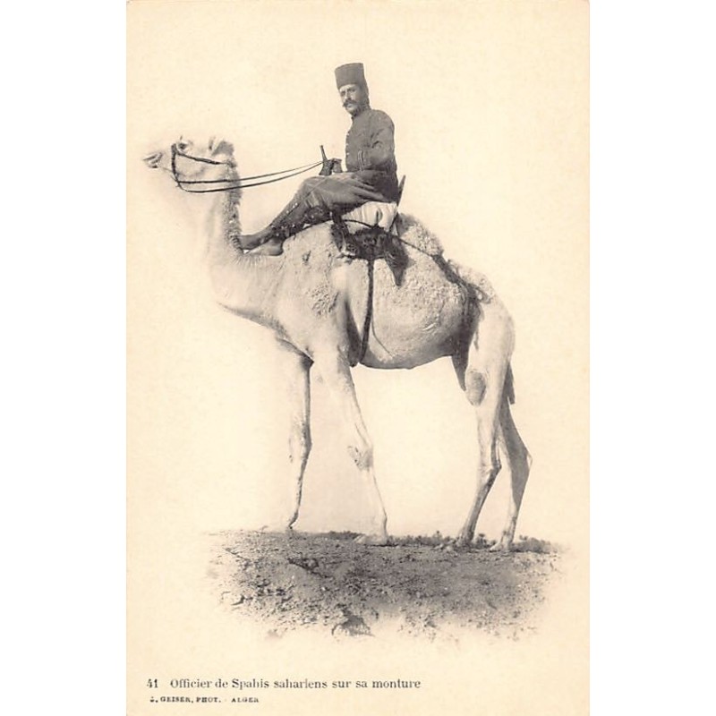 Rare collectable postcards of Algeria. Vintage Postcards of Algeria