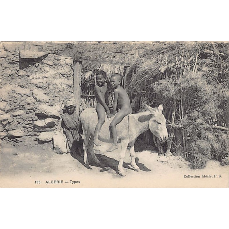 Rare collectable postcards of Algeria. Vintage Postcards of Algeria