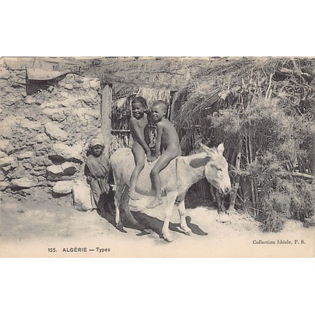 Rare collectable postcards of Algeria. Vintage Postcards of Algeria