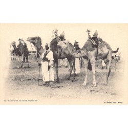 Rare collectable postcards of Algeria. Vintage Postcards of Algeria