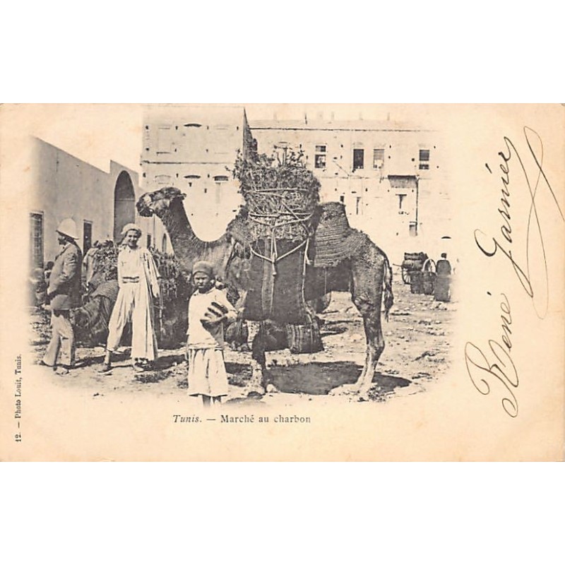 Rare collectable postcards of Tunisia. Vintage Postcards of Tunisia