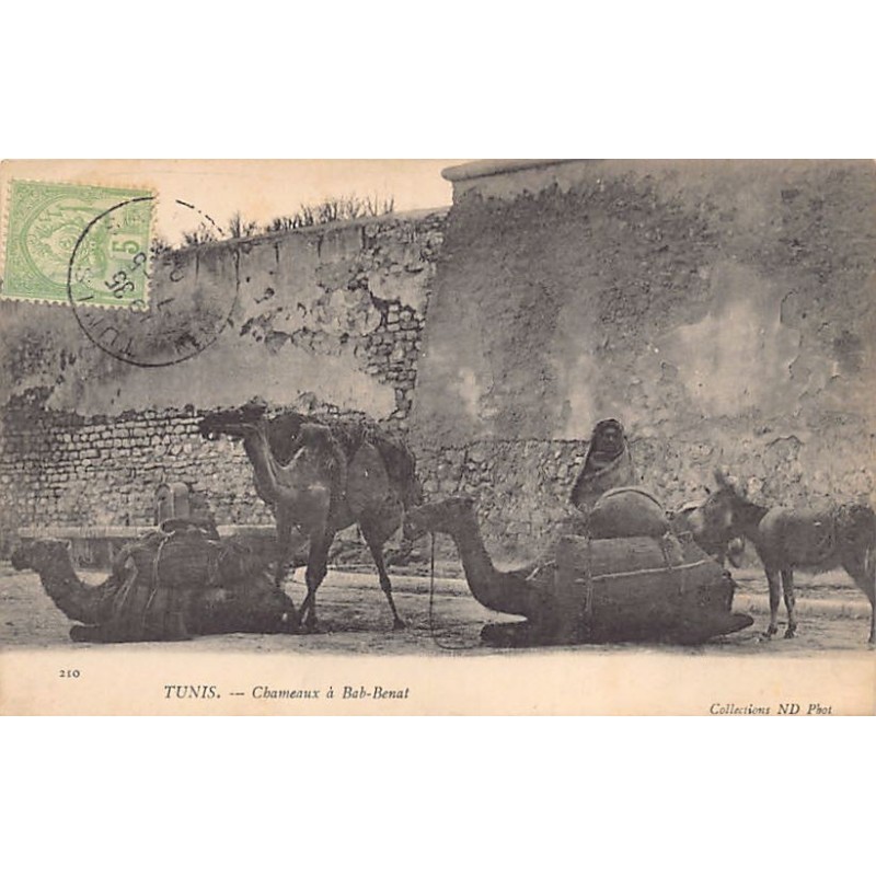 Rare collectable postcards of Tunisia. Vintage Postcards of Tunisia