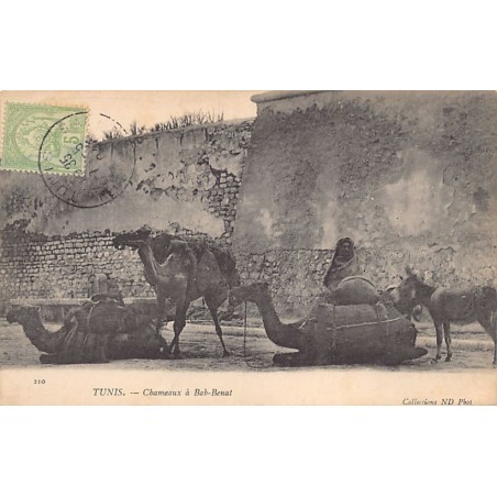Rare collectable postcards of Tunisia. Vintage Postcards of Tunisia