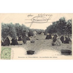 Rare collectable postcards of Tunisia. Vintage Postcards of Tunisia