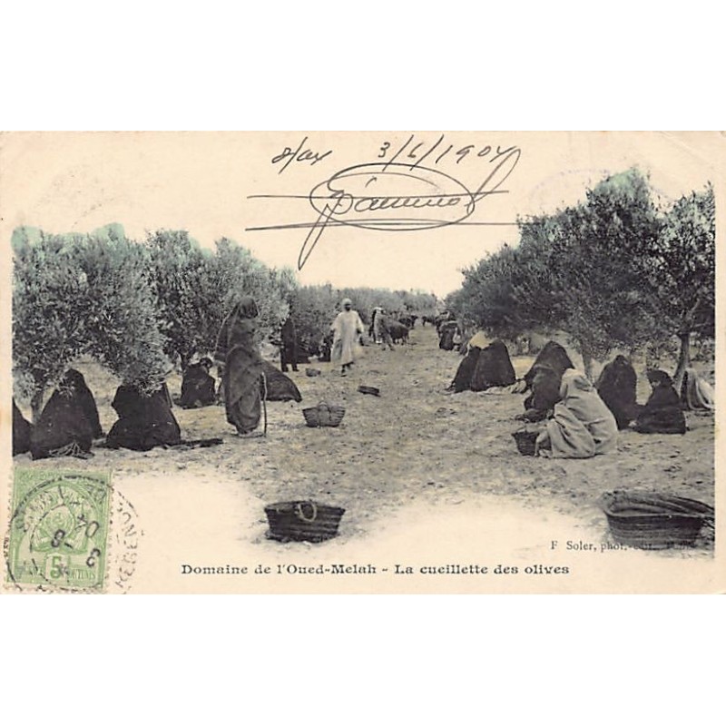 Rare collectable postcards of Tunisia. Vintage Postcards of Tunisia
