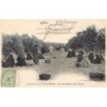 Rare collectable postcards of Tunisia. Vintage Postcards of Tunisia