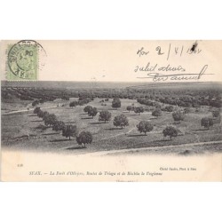 Rare collectable postcards of Tunisia. Vintage Postcards of Tunisia