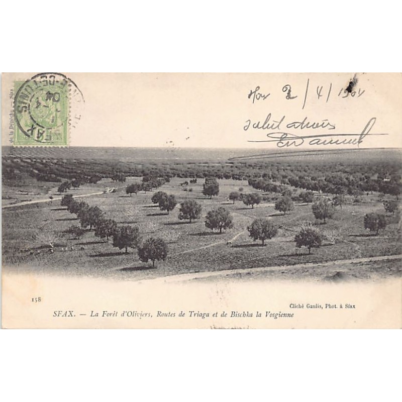 Rare collectable postcards of Tunisia. Vintage Postcards of Tunisia