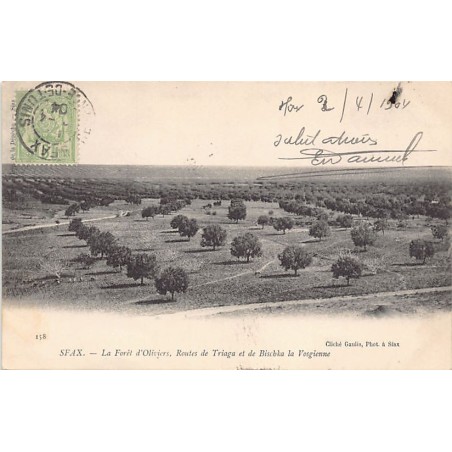 Rare collectable postcards of Tunisia. Vintage Postcards of Tunisia