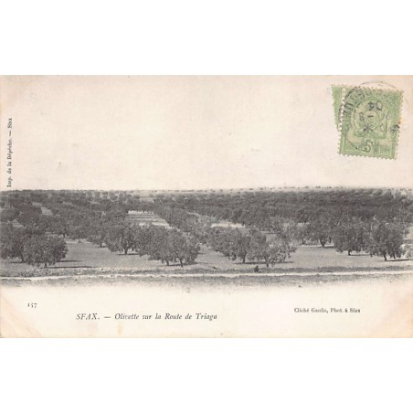 Rare collectable postcards of Tunisia. Vintage Postcards of Tunisia