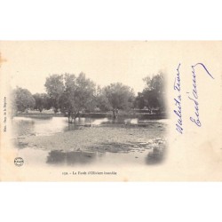 Rare collectable postcards of Tunisia. Vintage Postcards of Tunisia