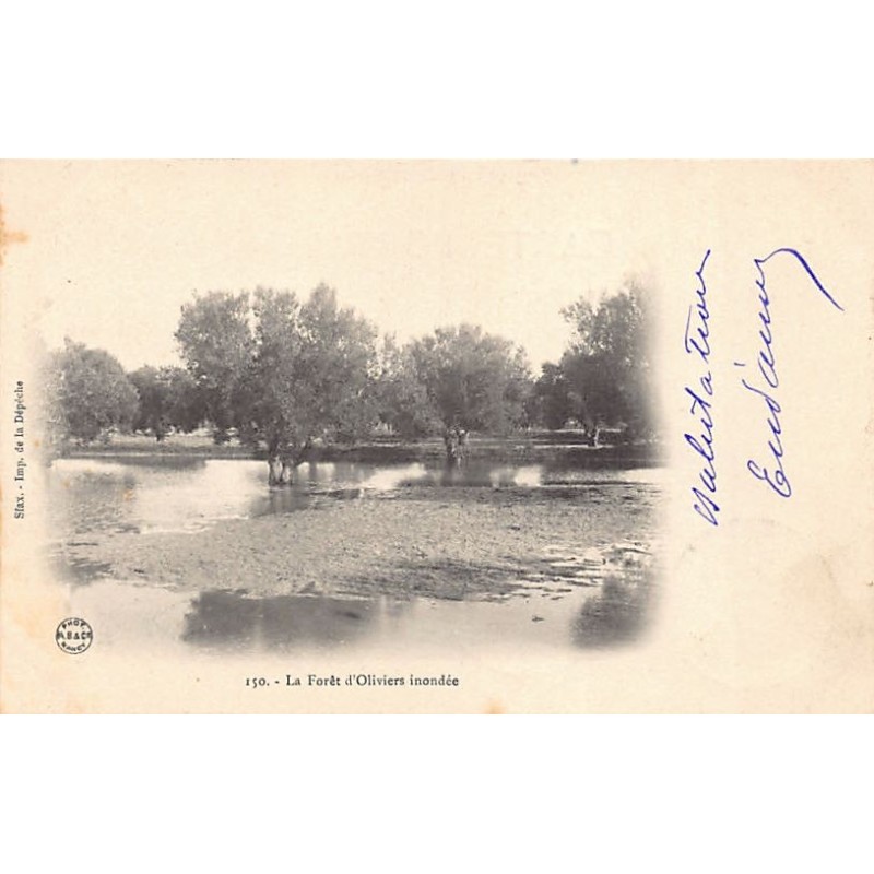 Rare collectable postcards of Tunisia. Vintage Postcards of Tunisia