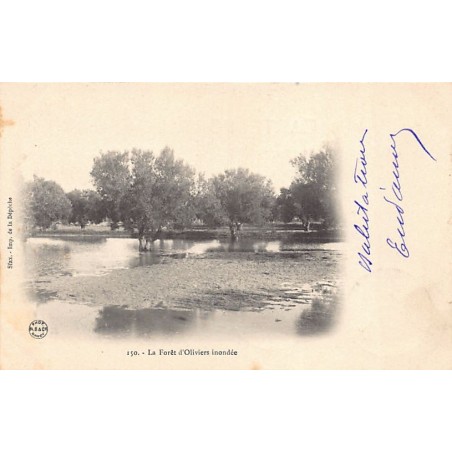 Rare collectable postcards of Tunisia. Vintage Postcards of Tunisia