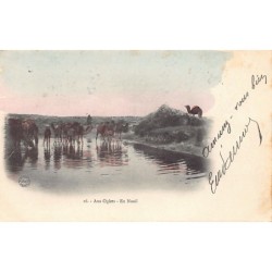 Rare collectable postcards of Tunisia. Vintage Postcards of Tunisia