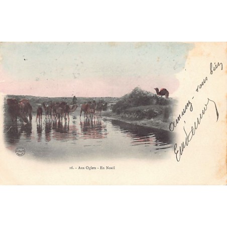 Rare collectable postcards of Tunisia. Vintage Postcards of Tunisia