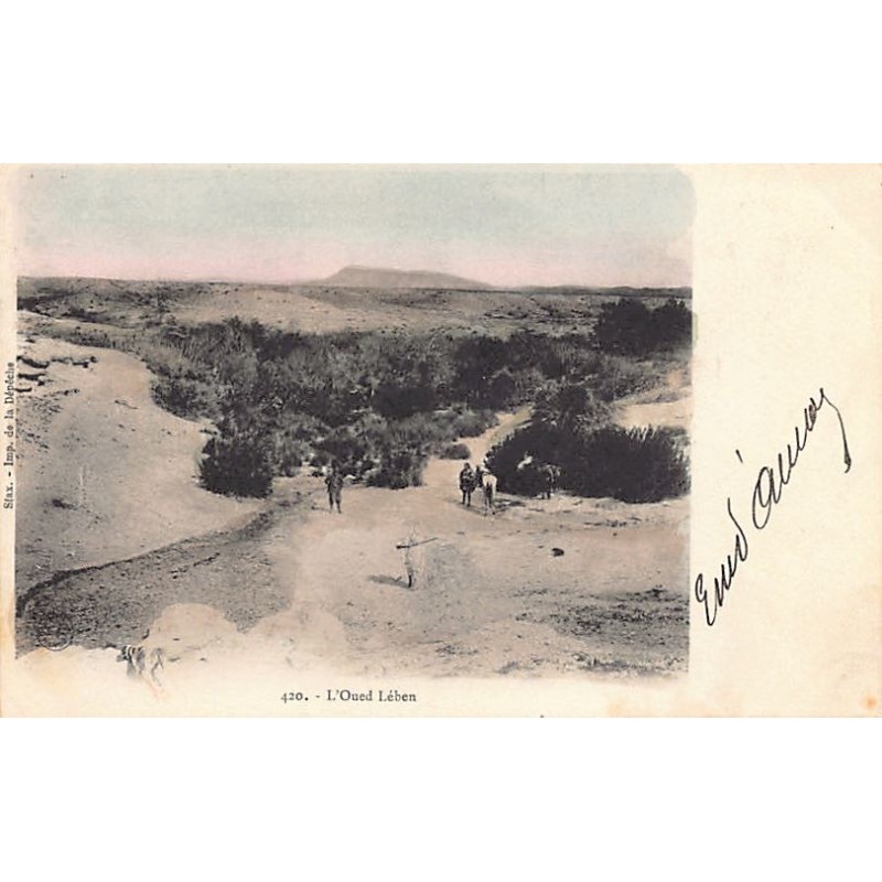Rare collectable postcards of Tunisia. Vintage Postcards of Tunisia