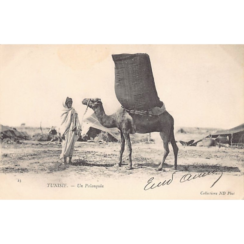 Rare collectable postcards of Tunisia. Vintage Postcards of Tunisia