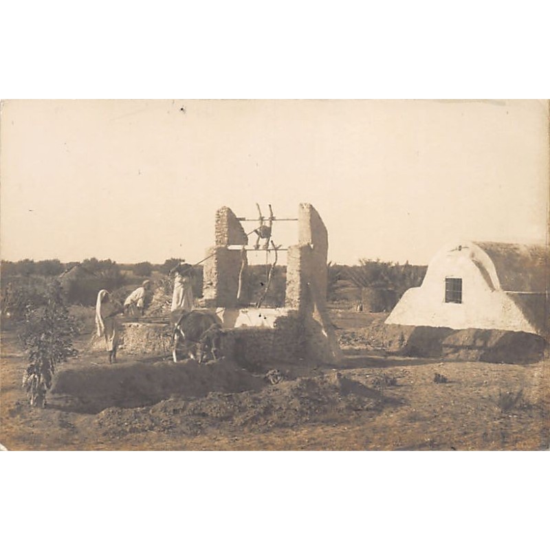 Rare collectable postcards of Tunisia. Vintage Postcards of Tunisia