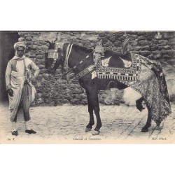 Rare collectable postcards of Tunisia. Vintage Postcards of Tunisia