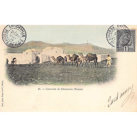 Rare collectable postcards of Tunisia. Vintage Postcards of Tunisia