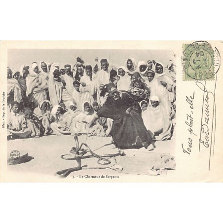 Rare collectable postcards of Tunisia. Vintage Postcards of Tunisia